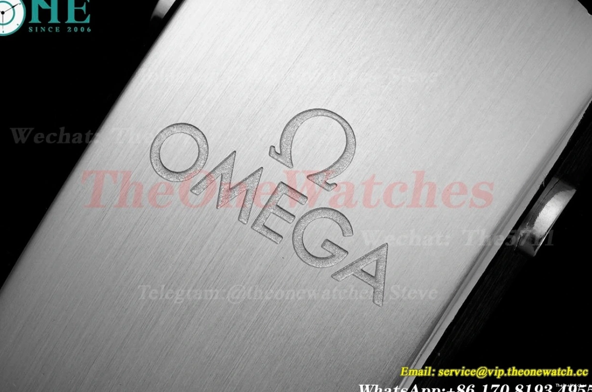 Seamaster Wht A8800 SS SS blue 300m 42mm JVSF 0112